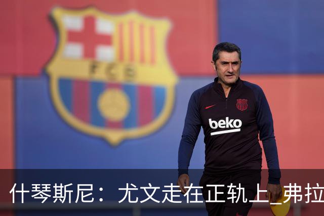 什琴斯尼：尤文走在正轨上 弗拉霍维奇非常出色